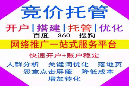 高效百度推广案例解析及优化策略
